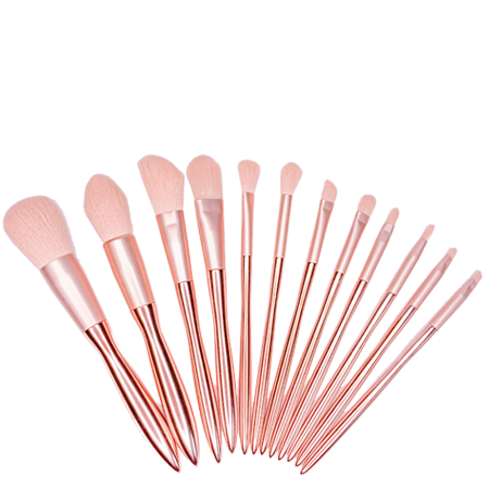 AllpeaU brushes set with bag #rose gold